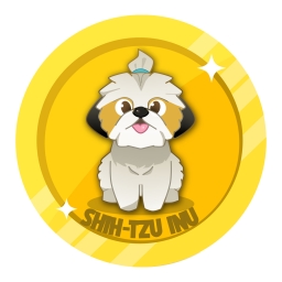 Shih Tzu Inu