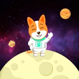 SafeSpaceDoge