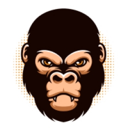 APE Coin