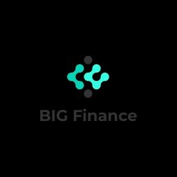 BIG-Finance Logo