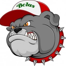 BOLAS Logo