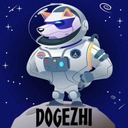 DogeZhi