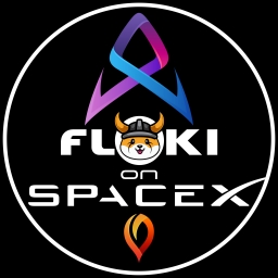 FlokiOnSpaceX