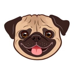 Pug Inu