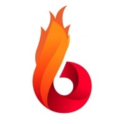 BurnX Logo