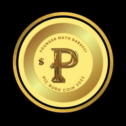 PIC Burn Coin