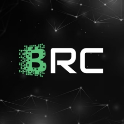 Brics-Technology Logo