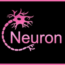 Neuron Network