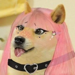 StepdogeSister