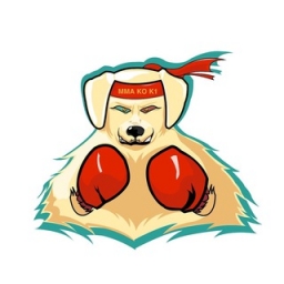 BoxingDoge Logo