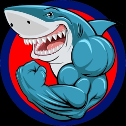 NebulaShark Logo