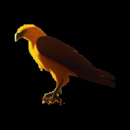 Golden crow