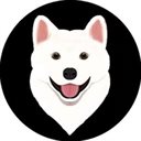 JEJUDOGE Logo