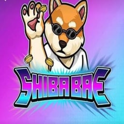 SHIBABAE-TOKEN Logo