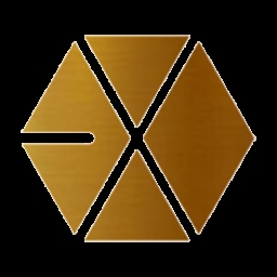 Exo Fortune