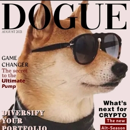 DogueVC