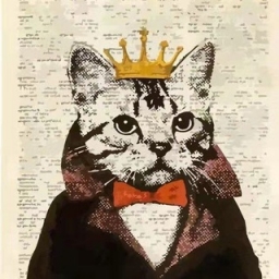 CatKing Logo