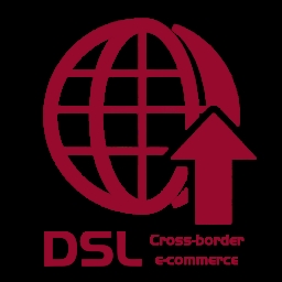 DSL Logo