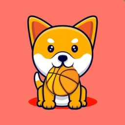 BabyBasketball Logo