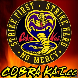 Cobra Kai Coin