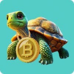 Turtle Holds Bitcoin