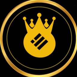 KingBusd Logo