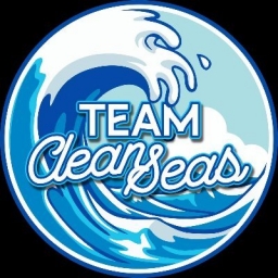 Team Clean Seas