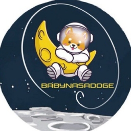 BabyNasaDoge Logo