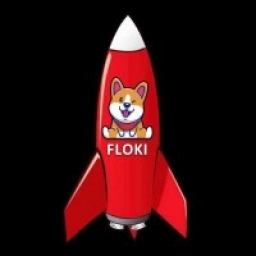 Floki Rocket Token