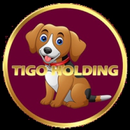 TIGO-HOLDING Logo