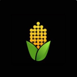 Chaincorn Logo