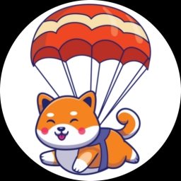 Airdoge Logo