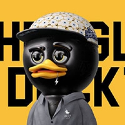 THE UGLY DUCK