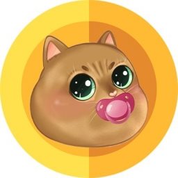 Baby Catge Coin