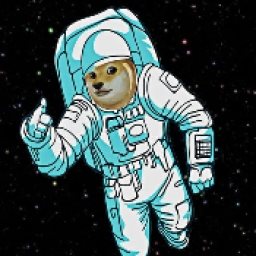 LittleSpaceDoge Logo