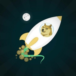 Meta Doge Rocket