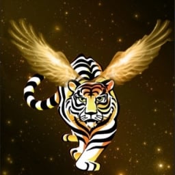 Fly Tiger BSC