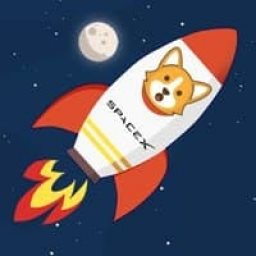 BabyRocketDoge Logo