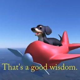 Dog of wisdom