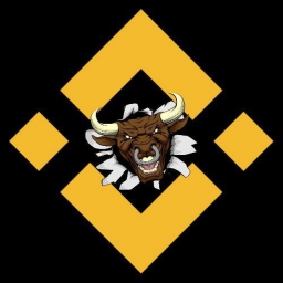 SafeBull Logo