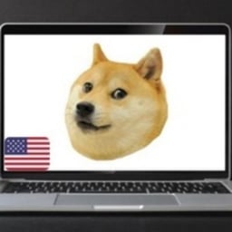 Internetdoge