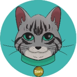 shira cat