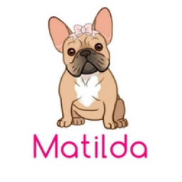 MATILDA-VIP Logo