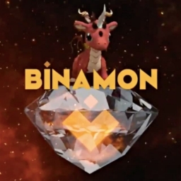 Binamon Launch