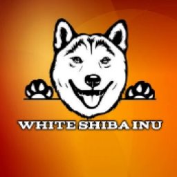 WHITE-SHIBA-INU Logo