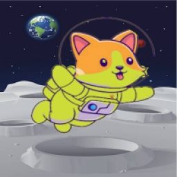 FutureDoge