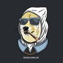 DogeGang Logo