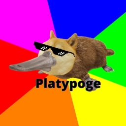 Platypoge Logo