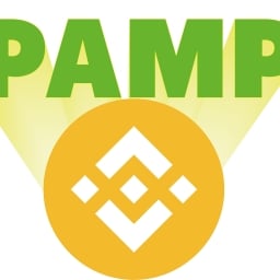 PAMP-BNB Logo