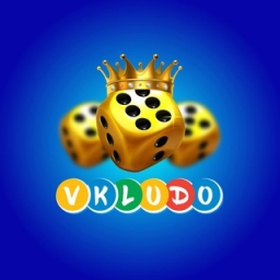 VKludo Logo